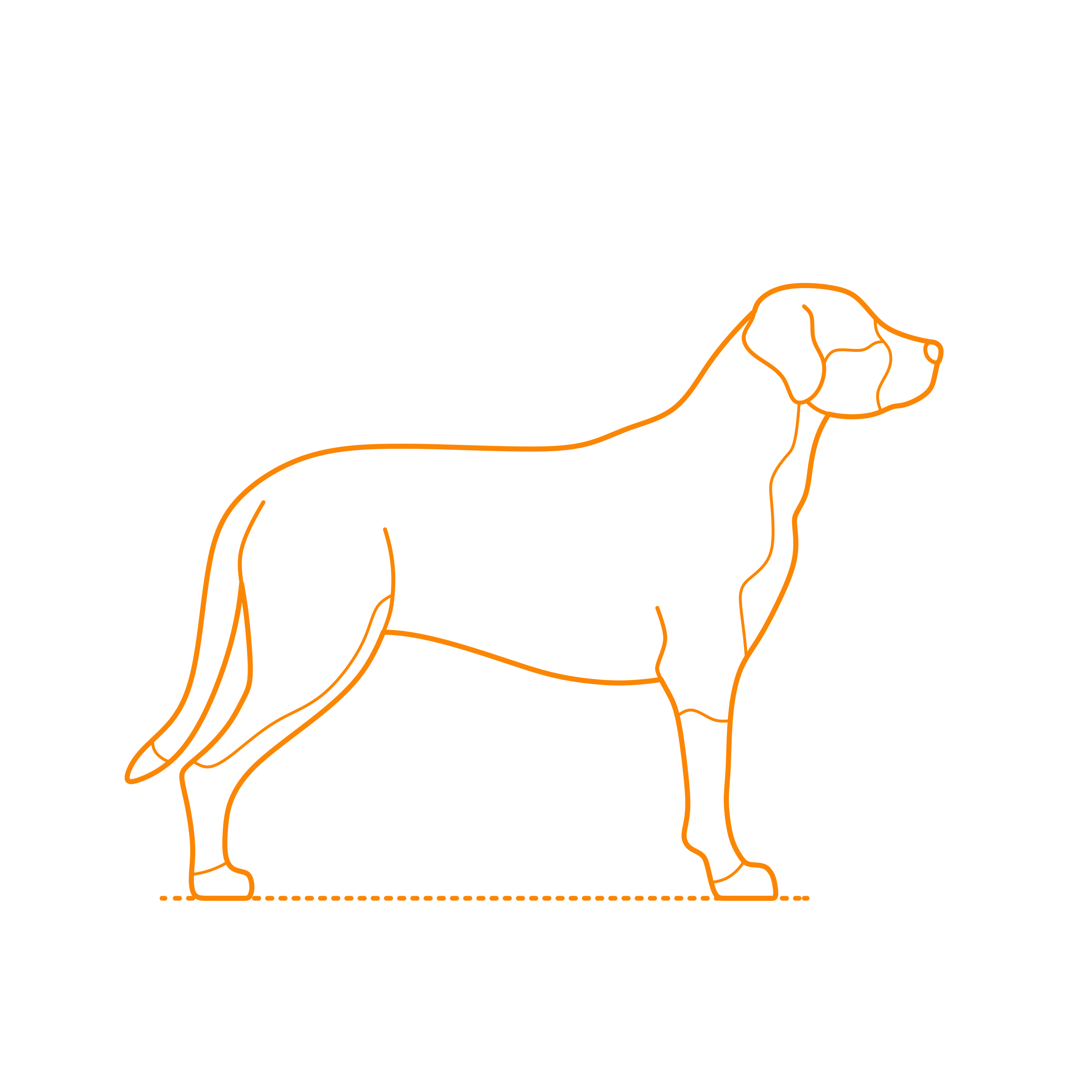 Animals Dogs Greater Swiss Mountain Dog Vinyl Svg File Free Vectors